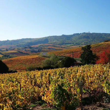 Bed & Breakfast En Beaujolais Villié-Morgon